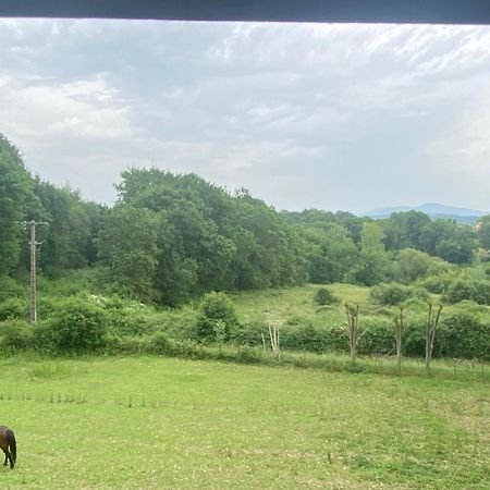 Appartement Dans Belle Maison Basque Mouguerre Dış mekan fotoğraf