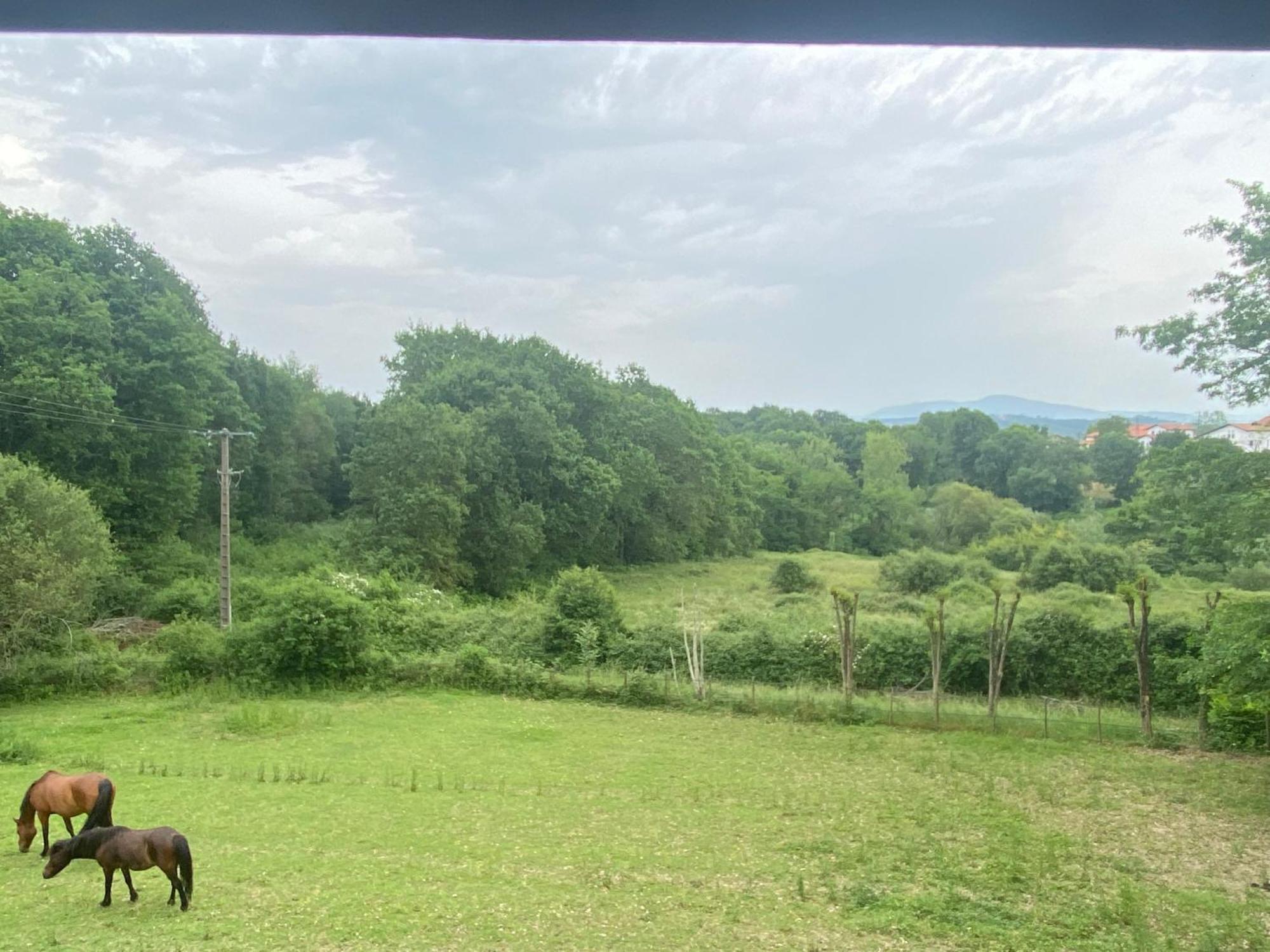 Appartement Dans Belle Maison Basque Mouguerre Dış mekan fotoğraf